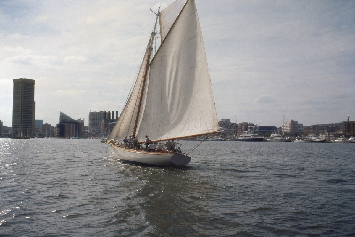 Unforgettable Day Sail