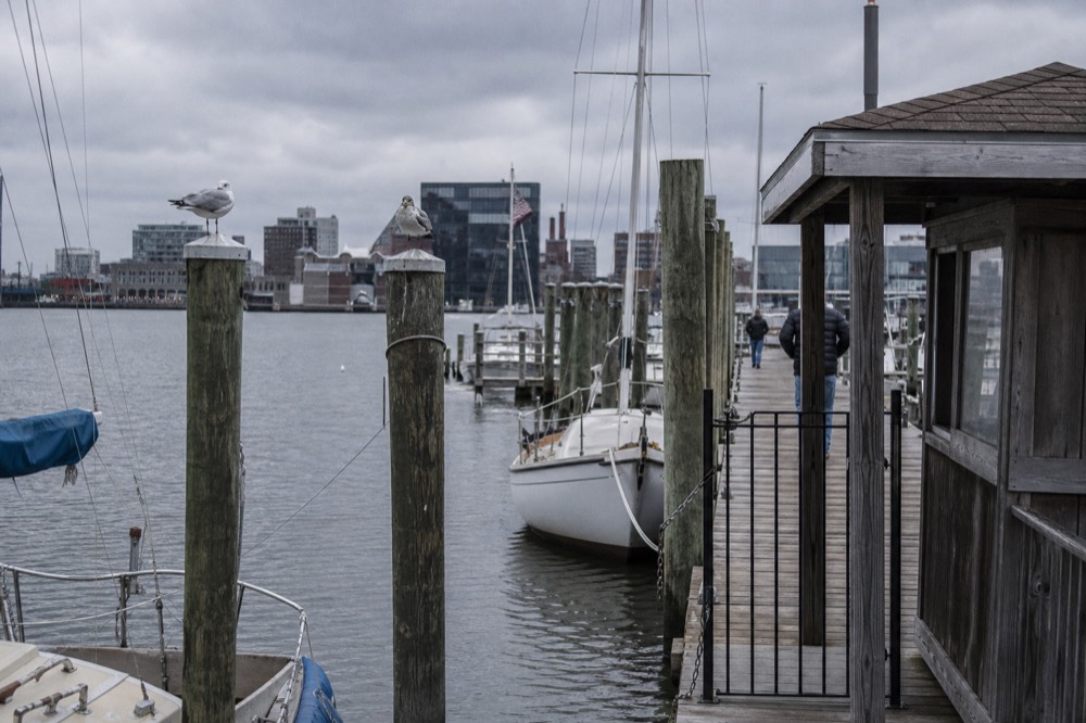 A wooden ticket kiosk and boarding gate on a harbor pier with small boats tied alongside and gulls perched on the pilings